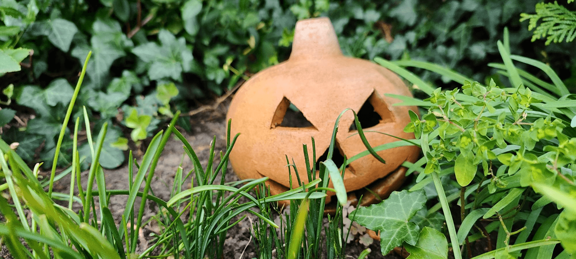 Herbstspots in Essen: Von Kürbisfest bis Salznest